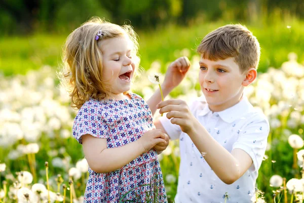 School Kid jongen en kleine baby meisje waait op een paardebloem bloemen op de natuur in de zomer. Gelukkig gezonde peuter en schoolkinderen met blaas ballen, plezier hebben. Familie van twee liefde, samen. — Stockfoto