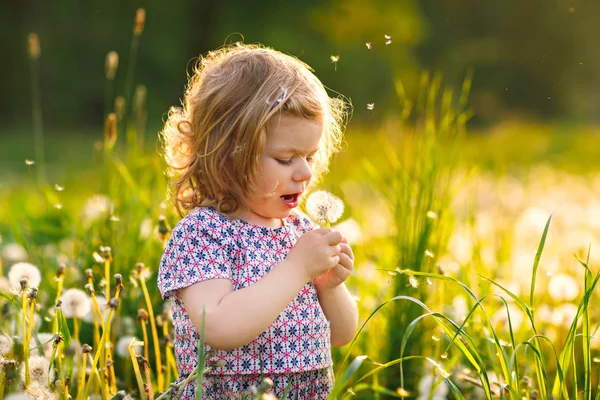 Adorable linda niña soplando en una flor de diente de león en la naturaleza en el verano. Feliz niño hermoso niño sano con blowball, divirtiéndose. Luz de puesta de sol brillante, niño activo. — Foto de Stock
