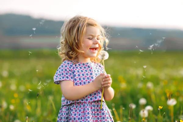 여름에 자연에서 민들레 꽃을 불어 대는 사랑스럽고 귀여운 작은 소녀. 건강하고 귀여운 복 볼을 가지고 즐겁게 놀고 있는 아기가 행복하길 바랍니다. 밝은 석양 빛, 활동적 인 아이. — 스톡 사진
