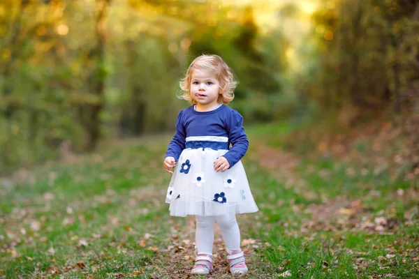 Menina da criança bonito fazendo um passeio através do parque de outono. Bebê saudável feliz gostando de andar com os pais. Dia de outono quente ensolarado com criança. Lazer ativo e atividade com crianças na natureza . — Fotografia de Stock