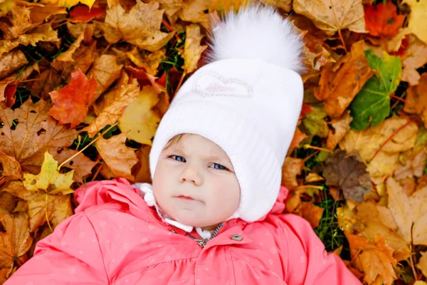 可爱的小女孩在秋天公园在寒冷的十月天与橡木和枫叶。秋天的树叶。家庭户外乐趣在秋天。孩子微笑。健康的婴儿与温暖的秋天衣服. — 图库照片