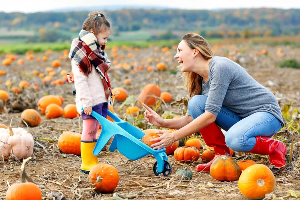 Little kid girl and beautiful mother having fun with farming on a pumpkin patch. Traditional family festival with children, thanksgiving and halloween concept. Cute farmers, woman with daughter. — Stock Photo, Image