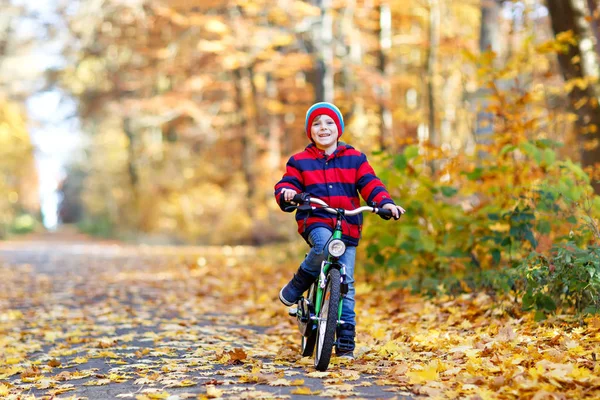 Ragazzino in abiti caldi colorati nel parco forestale autunnale alla guida di una bicicletta. Bambino attivo in bicicletta nella soleggiata giornata autunnale nella natura. Sicurezza, sport, tempo libero con il concetto di bambini — Foto Stock