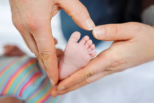 Father or mother holding foot of newborn baby — Stock Photo, Image
