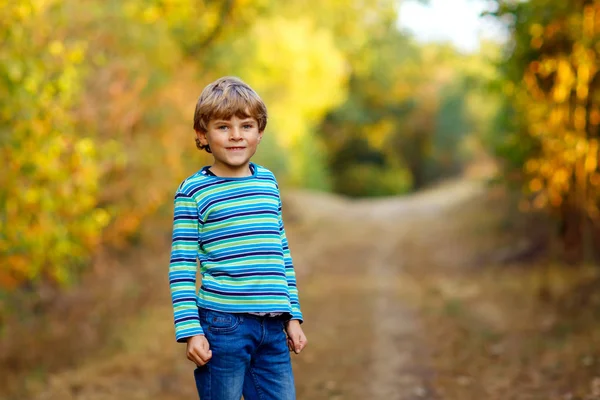 森の中の小さなクールな少年の肖像画。暖かい晴れた日の初秋に楽しい時間を過ごしている幸せな健康な子供。家族、自然、愛、積極的なレジャー. — ストック写真