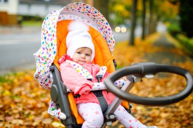 Sonbahar günü bebek arabasında ya da bebek arabasında oturan küçük tatlı bir kız bebek. Mutlu sağlıklı çocuk sıcak giysiler içinde temiz havada yürüyüşe çıkıyor. Sarı sonbahar akçaağaçlı bebek renkli giysiler içinde