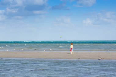 Aktif küçük çocuk Miami sahilinde eğleniyor, Key Biscayne. Sıcak ve güneşli bir günde okyanus kenarında koşan mutlu şirin çocuk. Yüzme pantolonlu sağlıklı bir çocuk martı kuşu avlıyor.