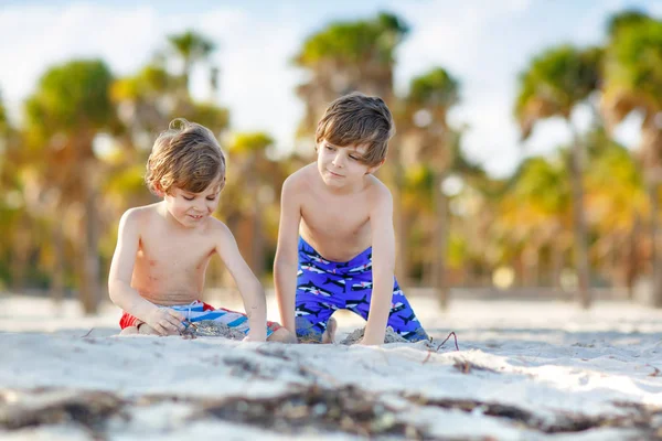 Dwa małe dzieci chłopcy bawią się na tropikalnej plaży, szczęśliwi najlepsi przyjaciele bawiąc się piaskiem, koncepcja przyjaźni. Rodzeństwo braci w pływać spodnie. Key Biscayne, Miami, Floryda — Zdjęcie stockowe