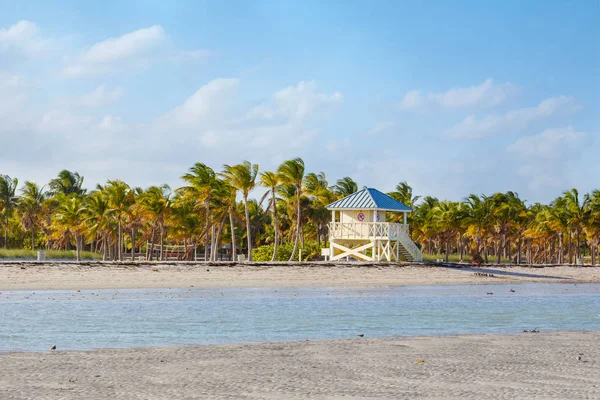 美丽的克兰登公园海滩位于美国佛罗里达州迈阿密的Key Biscayne 。棕榈、白沙和安全屋 — 图库照片