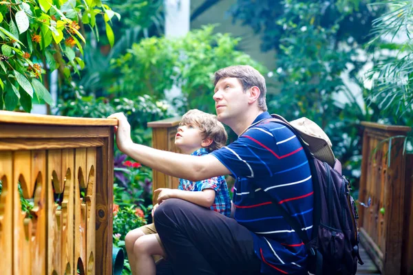 Father and preschool kid boy discovering flowers, plants and butterflies at botanic garden. Family, young man and son interested in biology. Active educational leisure with preschool kids in museum — Stock Photo, Image