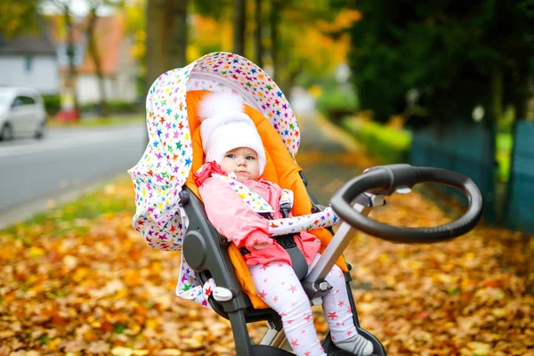 Aranyos kis gyönyörű kislány ül a babakocsiban, vagy babakocsi ősszel. Boldog egészséges gyermek megy sétálni a friss levegőn meleg ruhákban. Baba sárga őszi juharfák színes ruhákban — Stock Fotó