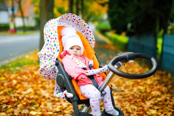 Aranyos kis gyönyörű kislány ül a babakocsiban, vagy babakocsi ősszel. Boldog egészséges gyermek megy sétálni a friss levegőn meleg ruhákban. Baba sárga őszi juharfák színes ruhákban — Stock Fotó