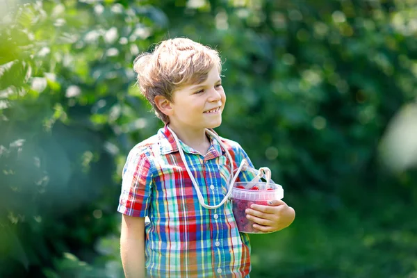 Schattige kleine jongen verse bessen plukken op raspberry veld. — Stockfoto