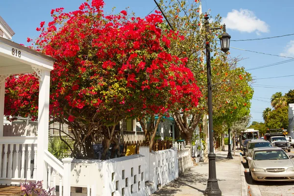 KEY WEST, FLORIDA USA - 13 DE ABRIL DE 2016: El centro histórico y popular y la calle Duval en el centro de Key West. Hermosa ciudad pequeña en Florida, Estados Unidos de América — Foto de Stock