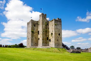 İrlanda, Boyne Nehri 'ndeki County Meath' deki Trim kalesinin panoramik görüntüsü. İrlanda 'daki en büyük Anglo-Norman kalesidir.