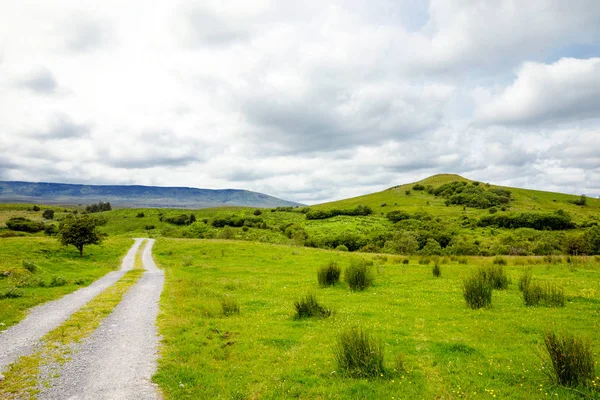 Irlanda mágica paisaje con colinas. Isla verde con ovejas en día nublado niebla . — Foto de Stock