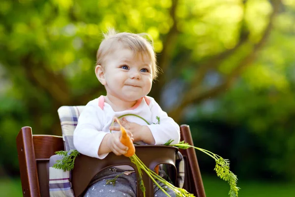 Cute adorable baby girl holding and eating fresh carrot. Beatuiful child having healthy snack. Baby girl sitting in high chair. Little kid of 6 months outdoors, eating vegetables on summer day — Stock Photo, Image