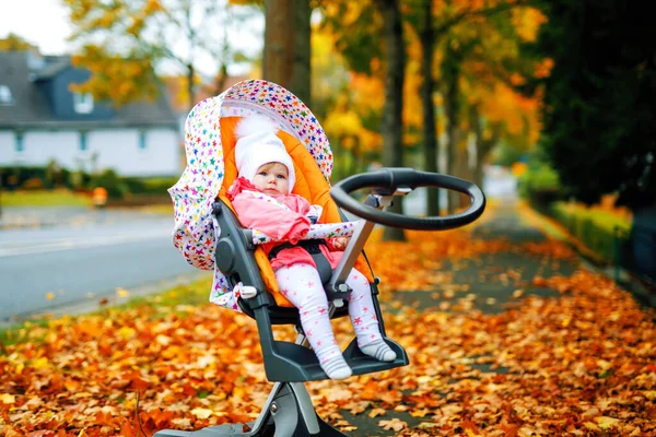 Bonito pequena menina bonita sentada no carrinho de bebê ou carrinho no dia de outono. Criança sã feliz que vai para um passeio no ar puro na roupa quente. Bebê com árvores de bordo de queda amarela em roupas coloridas — Fotografia de Stock