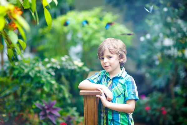 Małe dziecko przedszkola blond chłopiec odkrywanie roślin, kwiatów i motyli w ogrodzie botanicznym — Zdjęcie stockowe