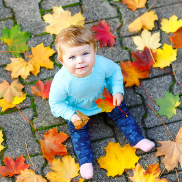 Adorable niña en el parque de otoño en el soleado día cálido de octubre con hojas de roble y arce. Follaje de otoño. Diversión familiar al aire libre en otoño. niño sonriendo. Bebé celebrando diez meses . — Foto de Stock