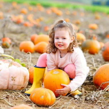 Sevimli küçük çocuk kız kabak yama çiftlikte eğleniyor. Çocuklu, geleneksel aile Festivali kavramı, Şükran günü ve Cadılar Bayramı. Büyük Balkabağı üzerinde oturan ve gülümseyen şirin çocuk çiftçi..