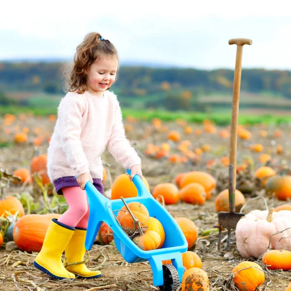 Adorable little kid girl having fun on pumpkin patch farm. Traditional family festival with children, thanksgiving and halloween concept. Cute child farmer sitting on huge pumpkin and smiling.. — Stock Photo, Image