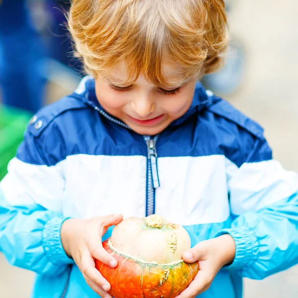 Pequeño niño rubio sosteniendo calabaza naranja en Halloween o fiesta de la cosecha de acción de gracias o parche, al aire libre . —  Fotos de Stock