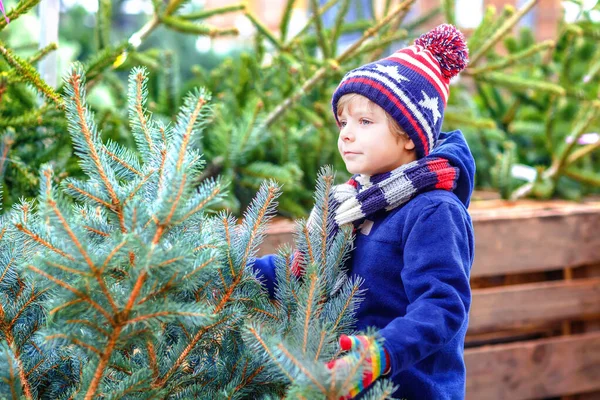 Αξιολάτρευτο μικρό χαμογελαστό αγόρι που κρατάει χριστουγεννιάτικο δέντρο στην αγορά. Ευτυχισμένο υγιές παιδί το χειμώνα ρούχα μόδας επιλέγοντας και αγοράζοντας μεγάλο χριστουγεννιάτικο δέντρο σε υπαίθριο κατάστημα. Οικογένεια, παράδοση, γιορτή. — Φωτογραφία Αρχείου
