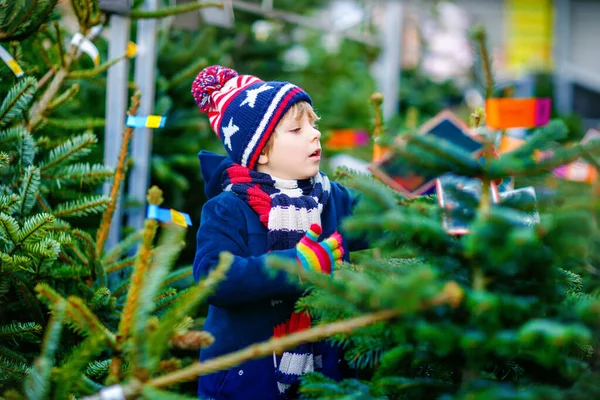 Adorable niño sonriente sosteniendo el árbol de Navidad en el mercado. Feliz niño sano en ropa de moda de invierno elegir y comprar gran árbol de Navidad en la tienda al aire libre. Familia, tradición, celebración. —  Fotos de Stock