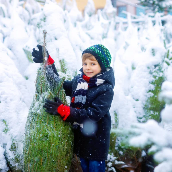 Divertido niño sonriente sosteniendo el árbol de navidad. Niño feliz en ropa de moda de invierno elegir y comprar árbol de Navidad en la tienda al aire libre en el día de invierno nevado. Familia, tradición, celebración. —  Fotos de Stock