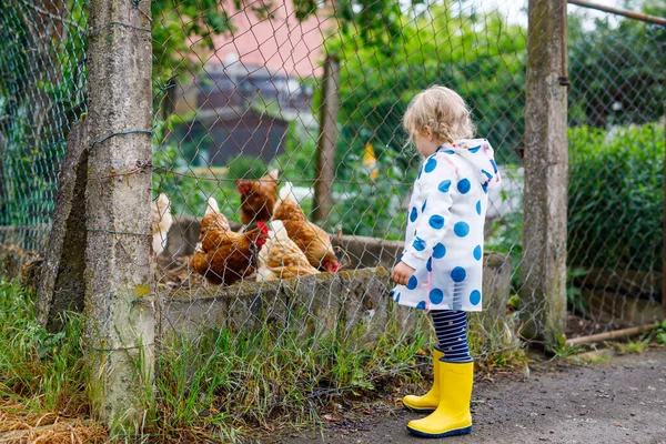 Outdoor portrait of happy smiling little toddler girl wearing rain jacket on rainy cloudy day feeding hen. Cute healthy child in colorful clothes outdoor activity — Stock Photo, Image