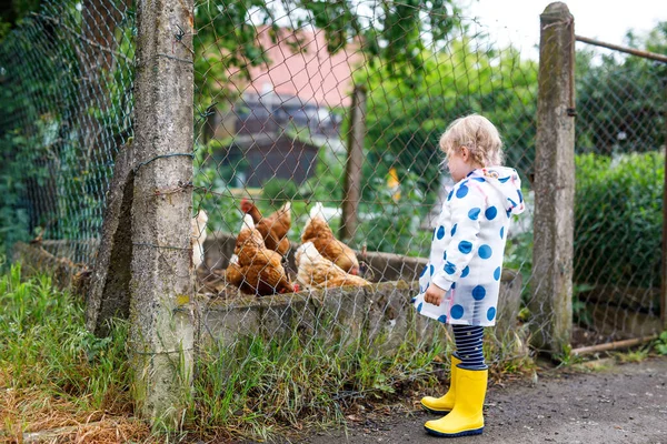 Außenporträt eines glücklich lächelnden kleinen Mädchens mit Regenjacke an einem regnerischen bewölkten Tag beim Füttern von Hühnern. Nettes gesundes Kind in bunten Kleidern Outdoor-Aktivität — Stockfoto