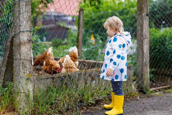 Outdoor portrait of happy smiling little toddler girl wearing rain jacket on rainy cloudy day feeding hen. Cute healthy child in colorful clothes outdoor activity — Stock Photo, Image