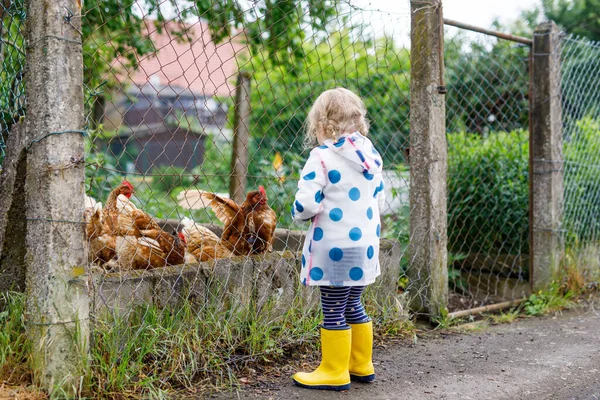 Retrato ao ar livre de feliz sorrindo pequena menina criança vestindo jaqueta de chuva em chuvoso dia nublado alimentando galinha. Criança saudável bonito em roupas coloridas atividade ao ar livre — Fotografia de Stock
