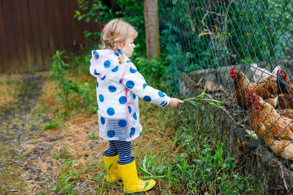 Retrato al aire libre de la pequeña niña sonriente feliz con chaqueta de lluvia en día nublado lluvioso alimentación gallina. Lindo niño sano en ropa colorida actividad al aire libre —  Fotos de Stock