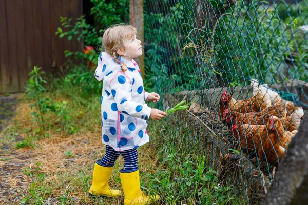 Na zewnątrz portret uśmiechniętej dziewczynki noszącej kurtkę przeciwdeszczową na deszczowy pochmurny dzień karmienia kurą. Cute zdrowe dziecko w kolorowe ubrania aktywności na świeżym powietrzu — Zdjęcie stockowe