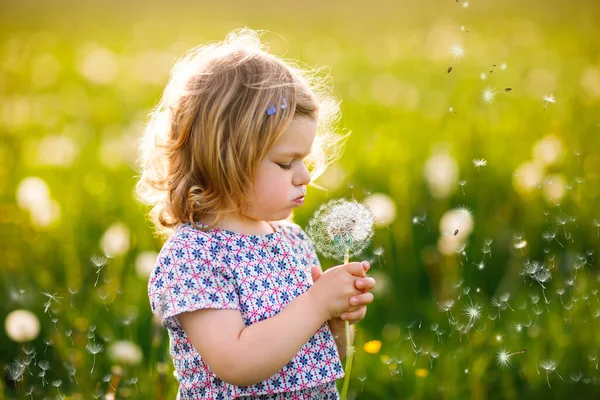 Aranyos, aranyos kislány, aki egy pitypang virágot fúj a természetre nyáron. Boldog egészséges, gyönyörű kisbabát szopással, szórakozással. Fényes naplemente fény, aktív gyerek. — Stock Fotó