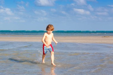 Aktif küçük çocuk Miami sahilinde eğleniyor, Key Biscayne. Sıcak ve güneşli bir günde okyanus kenarında koşan mutlu şirin çocuk. Yüzme pantolonlu sağlıklı bir çocuk martı kuşu avlıyor.