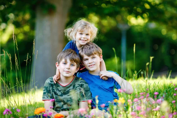 Portrait of three siblings children. Two kids brothers boys and little cute toddler sister girl having fun together on flowers meadow. Happy healthy family playing, walking, active leisure on nature — Stock Photo, Image