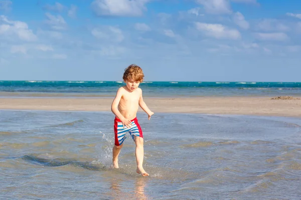Niño activo divirtiéndose en la playa de Miami, Key Biscayne. Feliz niño lindo corriendo cerca del océano en un día cálido y soleado. Niño sano en pantalones de baño cazando aves gaviotas — Foto de Stock