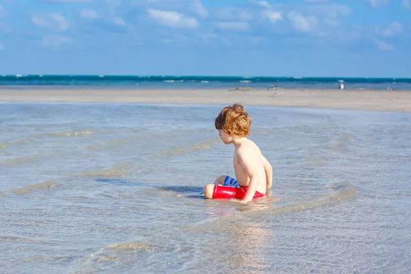 Niño activo divirtiéndose en la playa de Miami, Key Biscayne. Feliz niño lindo corriendo cerca del océano en un día cálido y soleado. Niño sano en pantalones de baño cazando aves gaviotas — Foto de Stock