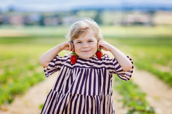 Happy little toddler girl picking and eating strawberries on organic berry farm in summer, on warm sunny day. Child having fun with helping. Kid on strawberry plantation field, ripe red berries. — Stock Photo, Image