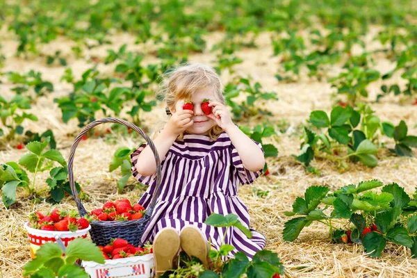 Glad liten småbarn flicka plocka och äta jordgubbar på ekologisk bär gård på sommaren, på varm solig dag. Barnet har kul med att hjälpa till. Grabben på jordgubbsplantage fält, mogna röda bär. — Stockfoto