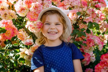 Çiçek açan gül bahçesinde küçük bir kızın portresi. Yaz güneşli bir günde parkta güllerle ve çiçeklerle eğlenen sevimli güzel bir çocuk. Mutlu gülümseyen bebek.