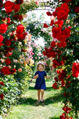 Çiçek açan gül bahçesinde küçük bir kızın portresi. Yaz güneşli bir günde parkta güllerle ve çiçeklerle eğlenen sevimli güzel bir çocuk. Mutlu gülümseyen bebek.