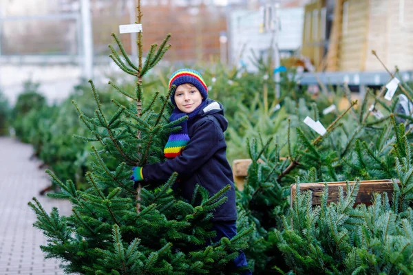 Liebenswerter kleiner lächelnder Junge mit Weihnachtsbaum auf dem Markt. Frohes gesundes Kind in Wintermode Kleidung aussuchen und kaufen großen Weihnachtsbaum im Outdoor-Shop. Familie, Tradition, Feier. — Stockfoto