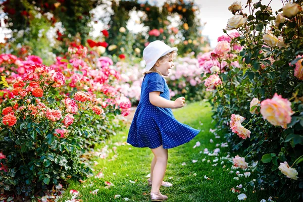 Retrato de una niña pequeña en florecimiento jardín de rosas. Lindo hermoso niño encantador que se divierte con rosas y flores en un parque en el día soleado de verano. Feliz bebé sonriente. — Foto de Stock