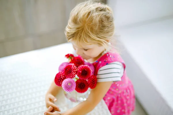 赤とピンクのダリアの花の花束を賞賛する小さな幼児の少女の肖像画。かわいい幸せな子供の匂いと晴れた夏の日に花を数える. — ストック写真