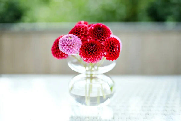 Primo piano di mazzo di fiori di dalia in fiore rosa e rossi. — Foto Stock