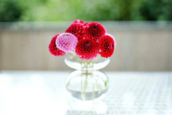 Close-up of bouquet of pink and red blooming dahlia flowers. — Stock Photo, Image